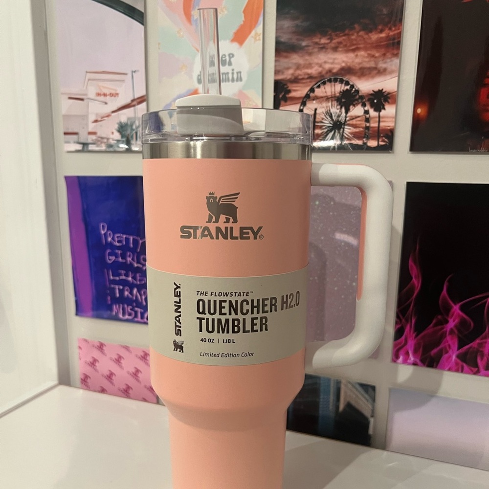 PEACH 40oz Stanley cup w/ handle!!!!!